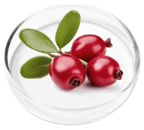 ingredient2