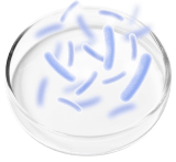 ingredient4